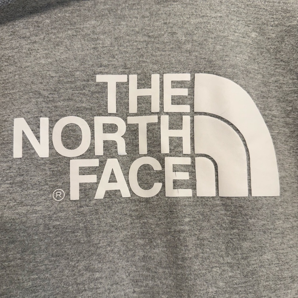The North Face Grey Hoodie, size large (mens). See description. - Picture 4 of 8